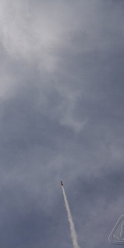 2012 Svojek mirek patek